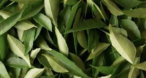 Ever tried curry leaves for your skin problems?