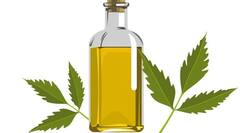 Daily Beauty Tip #17 -- Use neem oil and fight dandruff, hair loss, itchy scalp