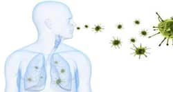 Antibody now boosts survival chances of patients suffering from influenza and pneumonia