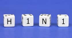 Swine flu in India: Himachal prepared to tackle swine flu