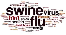 Swine flu in Kashmir: No swine flu related death in the last 24 hrs Swine flu in Kashmir: No swine flu related death in the last 24 hrs