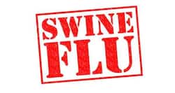 Swine flu kills 74 in Ecuador this year: Ministry of Public Health