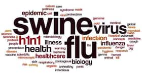Swine flu hits Rajasthan: 253 deaths reported so far in 2017