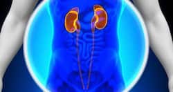 Eating red meat may increase the risk of kidney failure