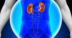 Eating red meat may increase the risk of kidney failure