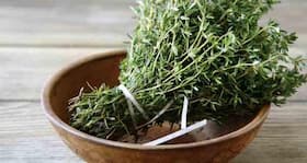 Thyme: Health benefits and side effects