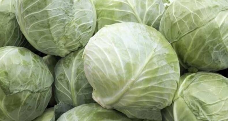 8 amazing health benefits of cabbage