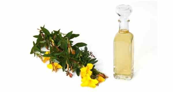 Primrose oil