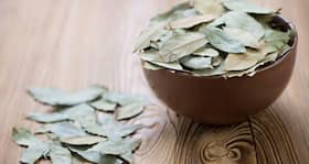 Beautiful bay leaf: A leaf with a sea of benefits