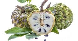 सीताफल के बीज मत फेकियें