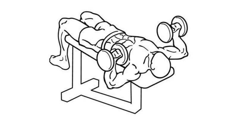 5 easy chest exercises