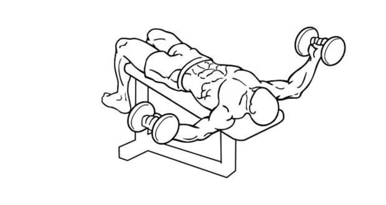 5 easy chest exercises