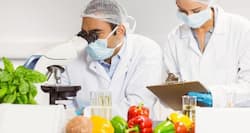 World Health Day: Why is your food handler's health important?