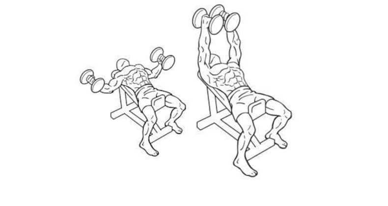5 easy chest exercises