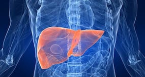 Bangalore based start-up develops India's first bio-printed artificial liver tissues Bangalore based start-up develops India's first bio-printed artificial liver tissues