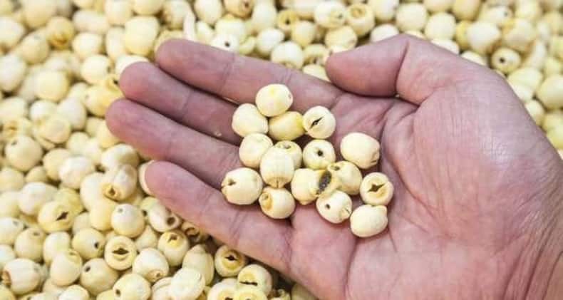 नवरात्रि के व्रत में खाएं मखाना है, ये हैं इसके 5 फायदे