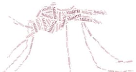 Malaria -- symptoms, prevention, treatment tips by WHO
