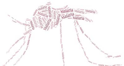 Malaria -- symptoms, prevention, treatment tips by WHO