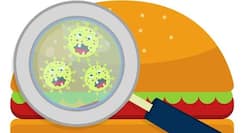 8 foods which have a higher chance of being contaminated