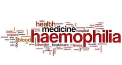 World Haemophilia Day -- why men are likely to have this bleeding disorder