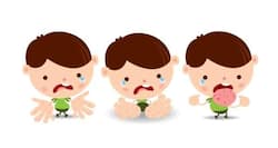 Hand Foot and Mouth Disease (HFMD) -- everything you need to know
