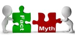 Busted! 12 common lies that you believed were true