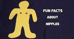 Fun facts about nipples