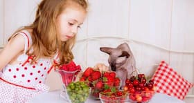 6 power-packed berries you must have!