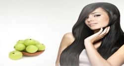 सफ़ेद बाल? रूसी? बालों का झड़ना? ये आंवला ऑयल पैक ट्राइ करें