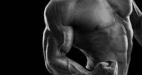 5 laws of biceps training