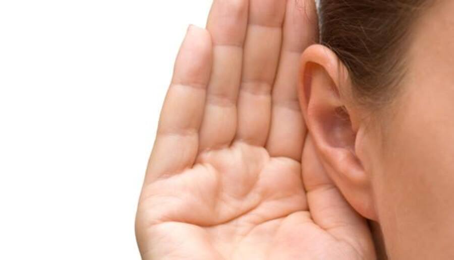 Shocking! Doctors remove 26 cockroaches from 19-year-old's ear