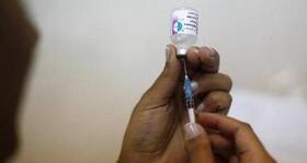Kit to detect swine flu in hours developed by Indian military lab