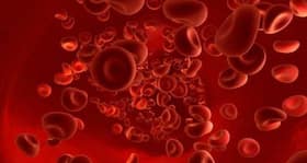 World Thalassemia Day: All you need to know