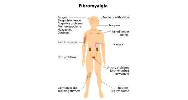 Fibromyalgia Health Tips Fibromyalgia Health Articles Health News Thehealthsite Com