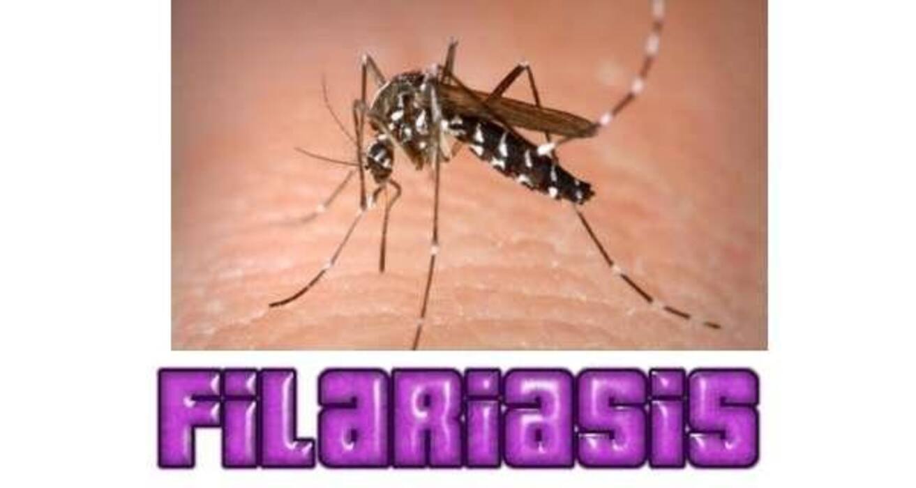 5 diseases caused by mosquitoes (other than dengue and malaria)