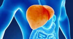 Gout medicines for liver diseases?