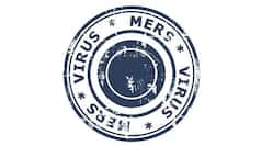 MERS in Saudi: 3 new deaths, toll rises to 518