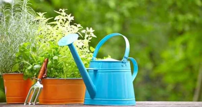 Forget about outdoor allergens! Is your home allergen-free?