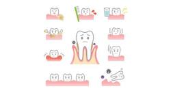 Teeth sensitivity after whitening procedure