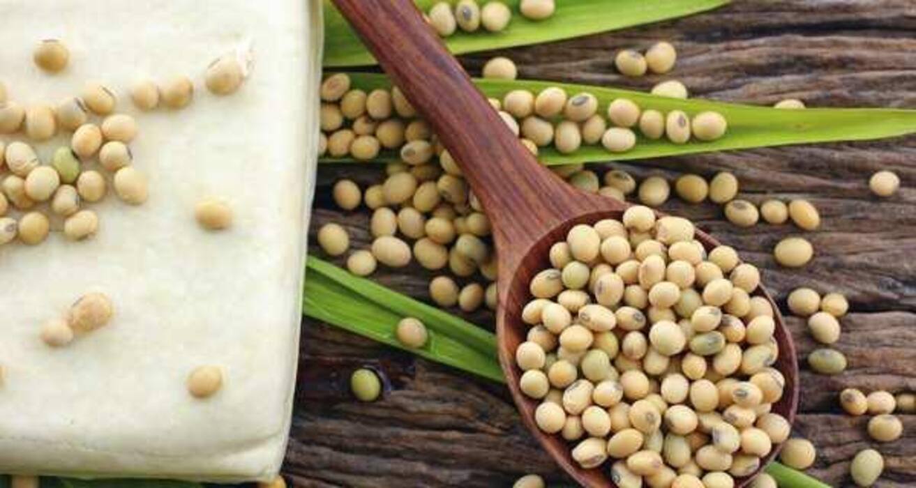 Daily Weight Loss Tip: 10 best protein-rich foods for weight loss (Photo Gallery)