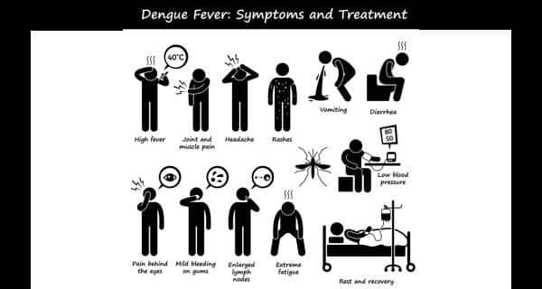 Dengue Symptoms | Dengue Treatment | Dengue Test | Dengue Causes ...