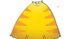 The beans you ate last night might not be the only reason for your gas!