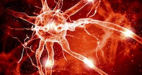 Could nerve damage be repaired by silk?