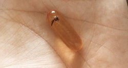 Woman finds a dead insect inside her medicine
