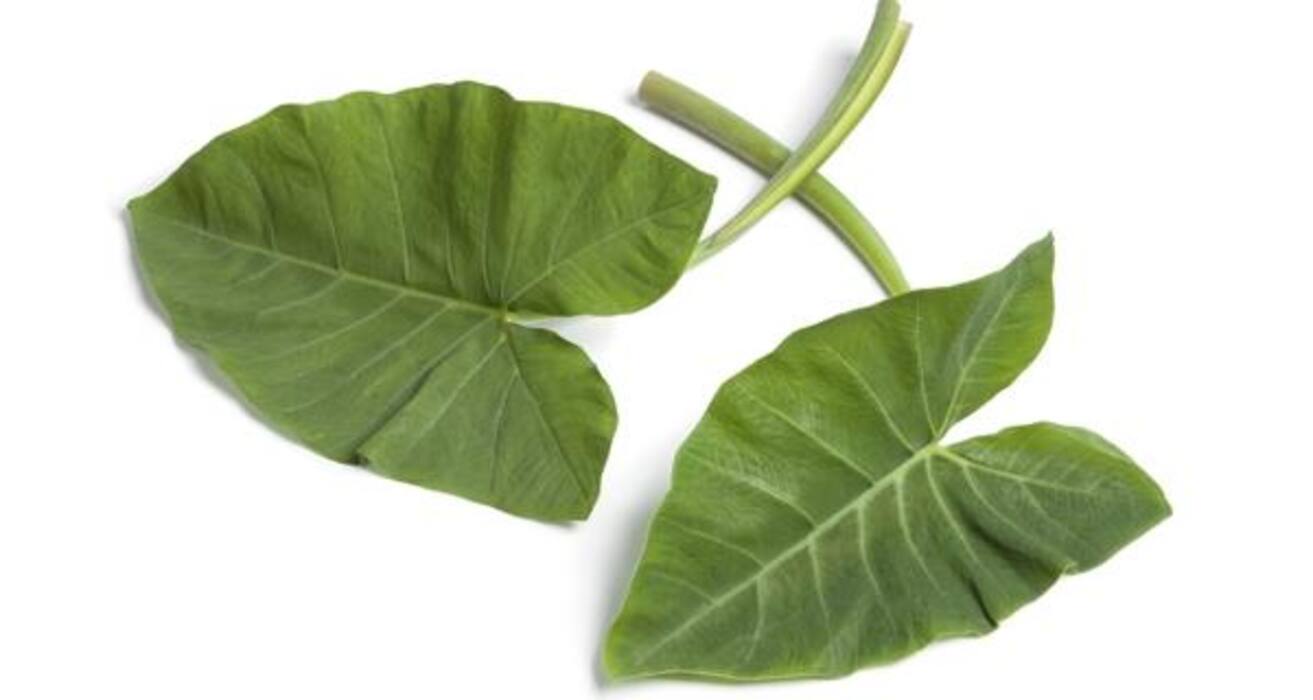 5 must-eat calcium rich vegetables