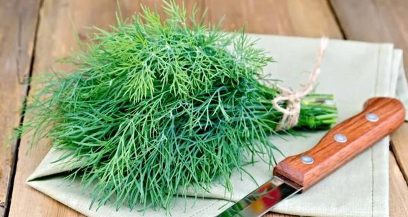 5 must-eat calcium rich vegetables