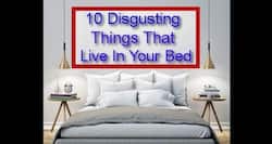 You will be scared to hit the bed after watching this!