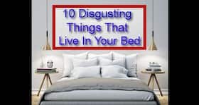 You will be scared to hit the bed after watching this! You will be scared to hit the bed after watching this!