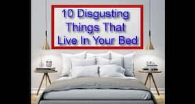You will be scared to hit the bed after watching this!