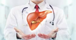Watch your liver tell you all that you need to know about Hepatitis B